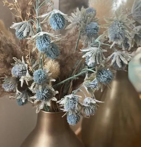 Chez Virginie Agreable Centre Parking Apartment